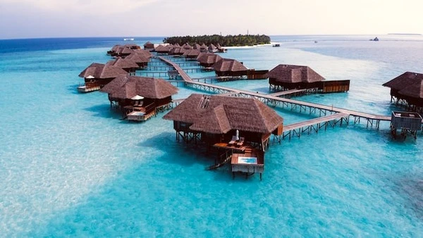  Maldives Honeymoon Tour
